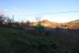 Terreno Agricolo in vendita a Bellante - 03, Foto 3