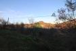 Terreno Agricolo in vendita a Bellante - 04, Foto 4