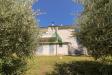 Casa indipendente in vendita con giardino a Bellante in via nazionale 235 - 05, Foto 5