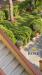 Appartamento in vendita con giardino a Livorno - 05, Rinnovo del giardino mediterraneo