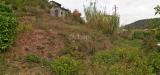 Terreno Agricolo in vendita a Vezzano Ligure - molinello - 05, IMG_20181025_205205.jpg