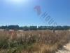 Terreno Agricolo in vendita a Quartu Sant'Elena - 02, WhatsApp Image 2026-05-29 at