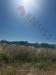 Terreno Agricolo in vendita a Quartu Sant'Elena - 03, WhatsApp Image 2026-05-29 at 12.03.31