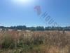 Terreno Agricolo in vendita a Quartu Sant'Elena - 04, WhatsApp Image 2026-05-29 at 12.03.32