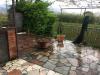 Appartamento in vendita con terrazzo a Castelnuovo Magra - 02