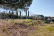 Terreno Agricolo in vendita a Livorno in via delle sorgenti - porta a terra, padula, cisternino, limoncino, vall - 04, terreno cisternino