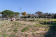 Terreno Agricolo in vendita a Livorno in via delle sorgenti - porta a terra, padula, cisternino, limoncino, vall - 05, terreno cisternino