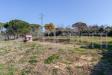 Terreno Agricolo in vendita a Livorno in via delle sorgenti - porta a terra, padula, cisternino, limoncino, vall - 06, terreno cisternino