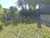 Villa in vendita con giardino a Livorno in via del pino - 06, giardino