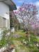 Casa indipendente in vendita con giardino a Erbusco in via costa 70 - 05, Foto 5