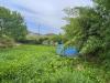 Terreno Agricolo in vendita a Cairo Montenotte in strada cummi - 05, Foto 5