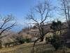 Terreno Agricolo in vendita a Sal� in via serniga - 05, Foto 5