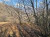 Terreno Agricolo in vendita a Sal� in via serniga - 07, Foto 7