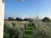 Terreno Edificabile in vendita a Manerba del Garda - 10, Foto 10