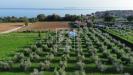 Terreno Edificabile in vendita a Manerba del Garda - 02, Foto 2