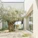 Villa in vendita con giardino a Lonato in viale roma - 03, Foto 3