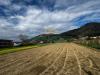 Terreno Agricolo in vendita a Castel San Giorgio - 02, Foto 2