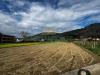 Terreno Agricolo in vendita a Castel San Giorgio - 03, Foto 3
