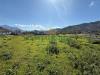 Terreno Agricolo in vendita a Cava de' Tirreni - 02, Foto 2