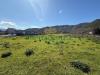 Terreno Agricolo in vendita a Cava de' Tirreni - 04, Foto 4