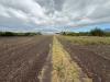 Terreno Agricolo in vendita a Sarno - 03, Foto 3