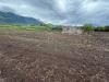 Terreno Agricolo in vendita a Sarno - 06, Foto 6