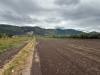 Terreno Agricolo in vendita a Sarno - 08, Foto 8
