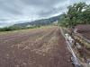 Terreno Agricolo in vendita a Sarno - 09, Foto 9