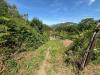 Terreno Agricolo in vendita a Mercato San Severino - 03, Foto 3
