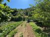 Terreno Agricolo in vendita a Mercato San Severino in vicinale dell abbadessa - 09, Foto 9
