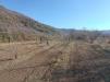 Terreno Agricolo in vendita a Mercato San Severino in via ciorani - 04, Foto 4