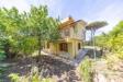 Villa in vendita con terrazzo a Anzio in via arno 36 - 03, IMG_8054.JPG