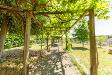 Villa in vendita a Viterbo in viale giuseppe mazzini 36 - 06, 14.jpg