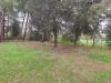Casa indipendente in vendita a Corinaldo - 06, WhatsApp Image 2026-05-27 at 15.52.30 (4)
