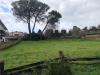 Terreno Agricolo in vendita a Roma - 04, 5.jpeg