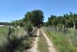 Terreno Agricolo in vendita a Eboli in via san miele - 02, Foto 2