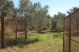 Terreno Agricolo in vendita a Eboli in via san miele - 03, Foto 3