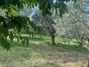 Terreno Agricolo in vendita a Castegnero in via castellaro - 03, Esterni (2).JPG