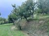 Terreno Agricolo in vendita a Castegnero in via calcare - 03, Esterni (33).JPG