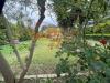 Villa in vendita con giardino a Siracusa - fanusa - 06, 16b256d0-b3f6-432d-9369-36a0a3eb1157.jpeg