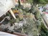 Casa indipendente in vendita con giardino a Siracusa in via siracusa - belvedere - 03, 2a727b30-6dd5-418e-aace-0dd54eb0366f.jpeg