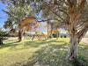 Villa in vendita con giardino a Siracusa in via isole della sonda - arenella - 05, 8c26c9fb-ab19-4dc9-8ae4-9458643a769f.jpeg