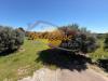 Villa in vendita con giardino a Siracusa in contrada monasteri - floridia - 05, 2c36b9e1-05af-4749-ae61-5ebb9de44c58.jpeg