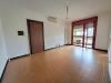 Appartamento in vendita con giardino a Rovigo in via della costituzione 18a - 05, 20250407_153046.jpg
