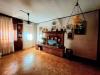 Casa indipendente in vendita con giardino a Rovigo in via ponte del merlo 79 - grignano polesine - 06, 20250723_175345.jpg
