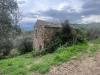 Terreno Agricolo in vendita a Prignano Cilento - 02