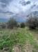 Terreno Agricolo in vendita a Prignano Cilento in via diga alento - 04, Foto 4