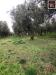 Villa in vendita con giardino a Vetralla in localit alvagnano 10 - 06, Foto 6