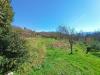 Terreno Agricolo in vendita a Coreglia Antelminelli - ghivizzano - 05