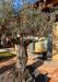 Casa indipendente in vendita con giardino a Altivole - caselle - 04